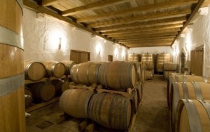 istria_wine_walk_4_570_x_358